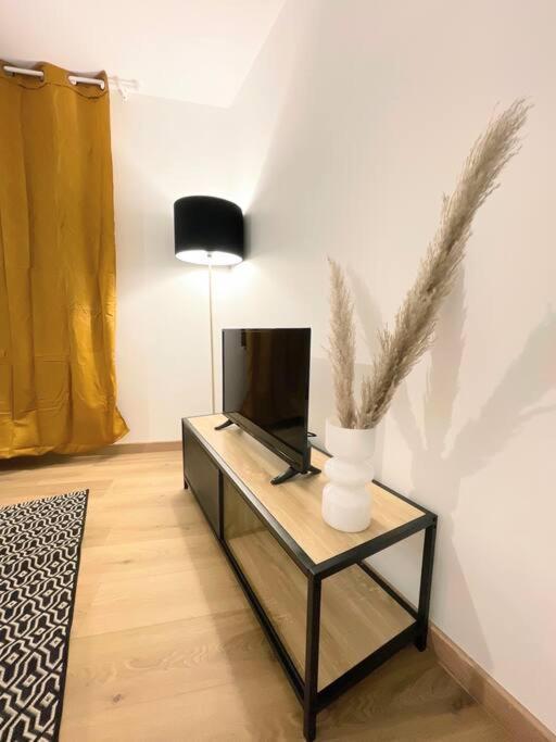 / Nid / Paisible Hyper Centre Appartement Rodez Buitenkant foto